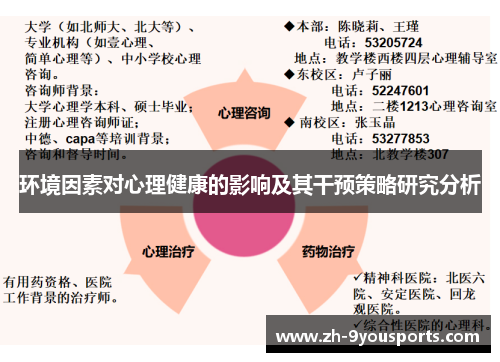 环境因素对心理健康的影响及其干预策略研究分析