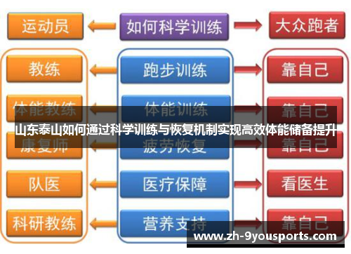 山东泰山如何通过科学训练与恢复机制实现高效体能储备提升