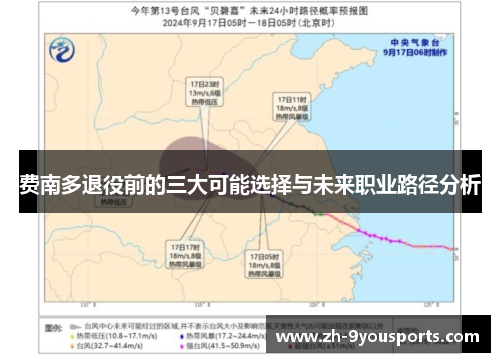 费南多退役前的三大可能选择与未来职业路径分析