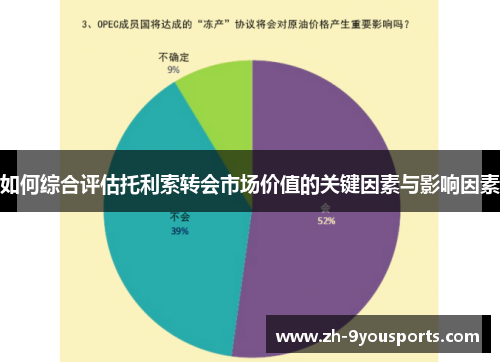 如何综合评估托利索转会市场价值的关键因素与影响因素 如何综合评估托利索转会市场价值的关键因素与影响因素