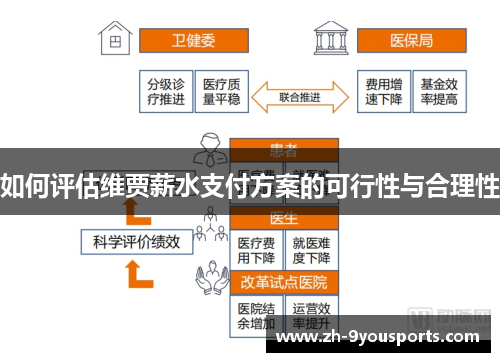 如何评估维贾薪水支付方案的可行性与合理性 如何评估维贾薪水支付方案的可行性与合理性