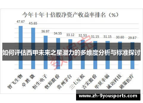 如何评估西甲未来之星潜力的多维度分析与标准探讨 如何评估西甲未来之星潜力的多维度分析与标准探讨
