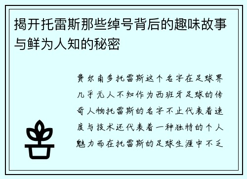 揭开托雷斯那些绰号背后的趣味故事与鲜为人知的秘密 揭开托雷斯那些绰号背后的趣味故事与鲜为人知的秘密